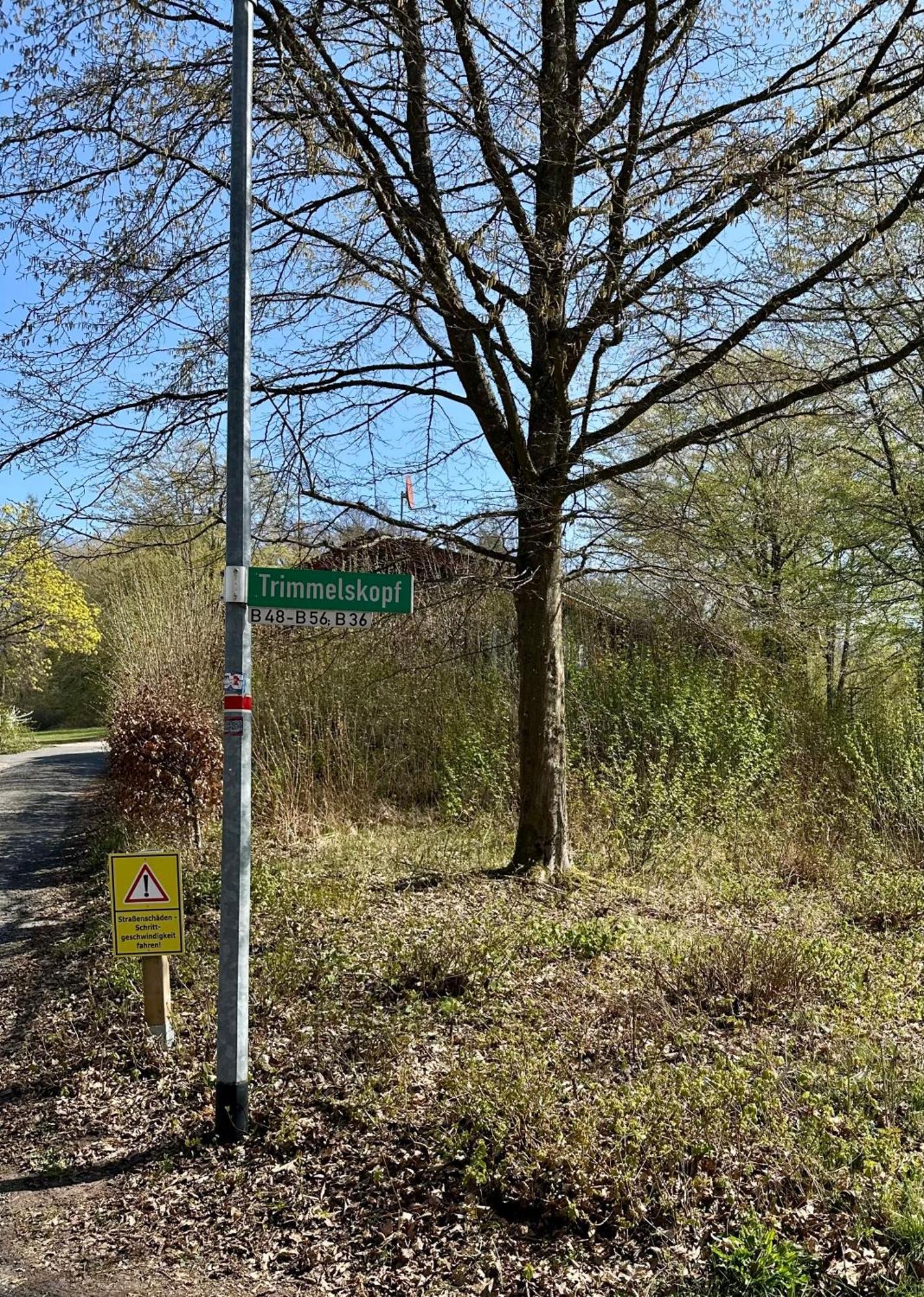 Natur Pur - Waldurlaub Im Tiny House Ronshausen Exteriör bild