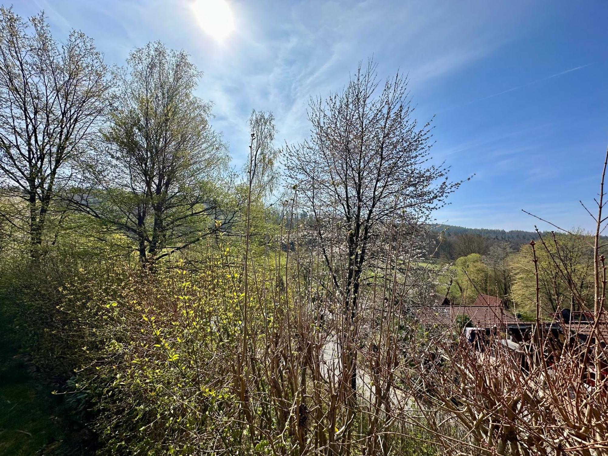 Natur Pur - Waldurlaub Im Tiny House Ronshausen Exteriör bild